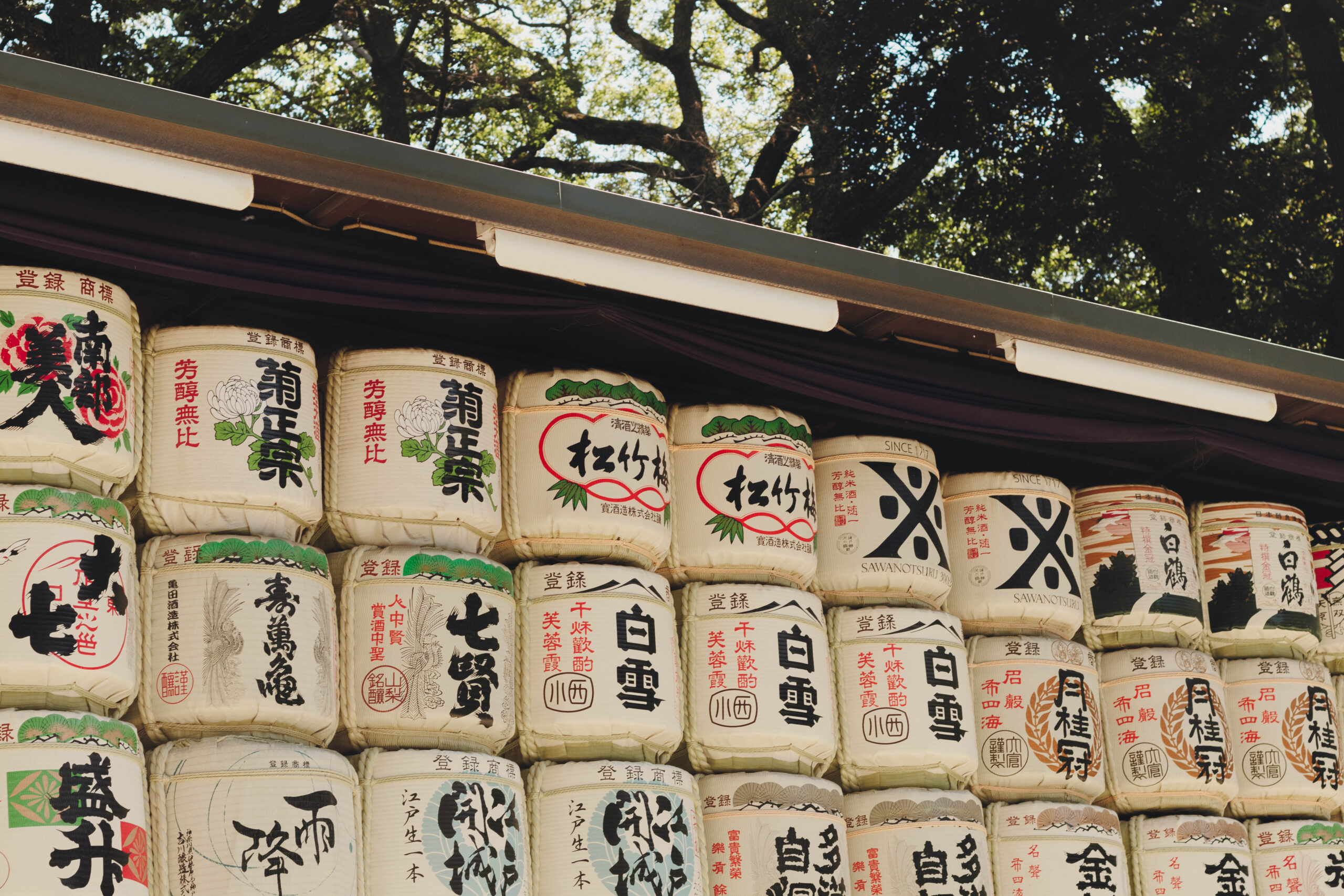 Templo Meiji y Akihabara