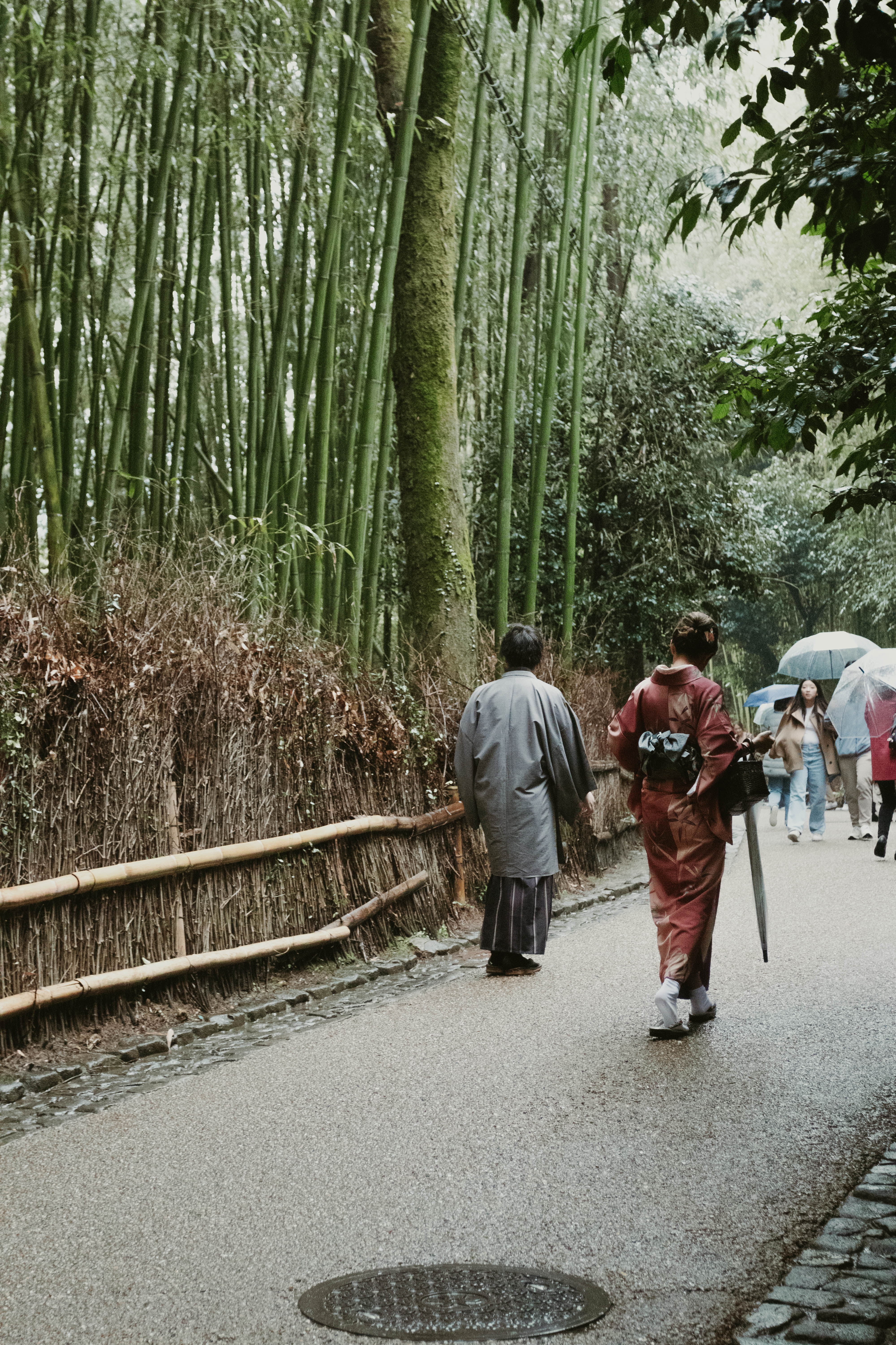 Arashiyama / Bamboo Forest