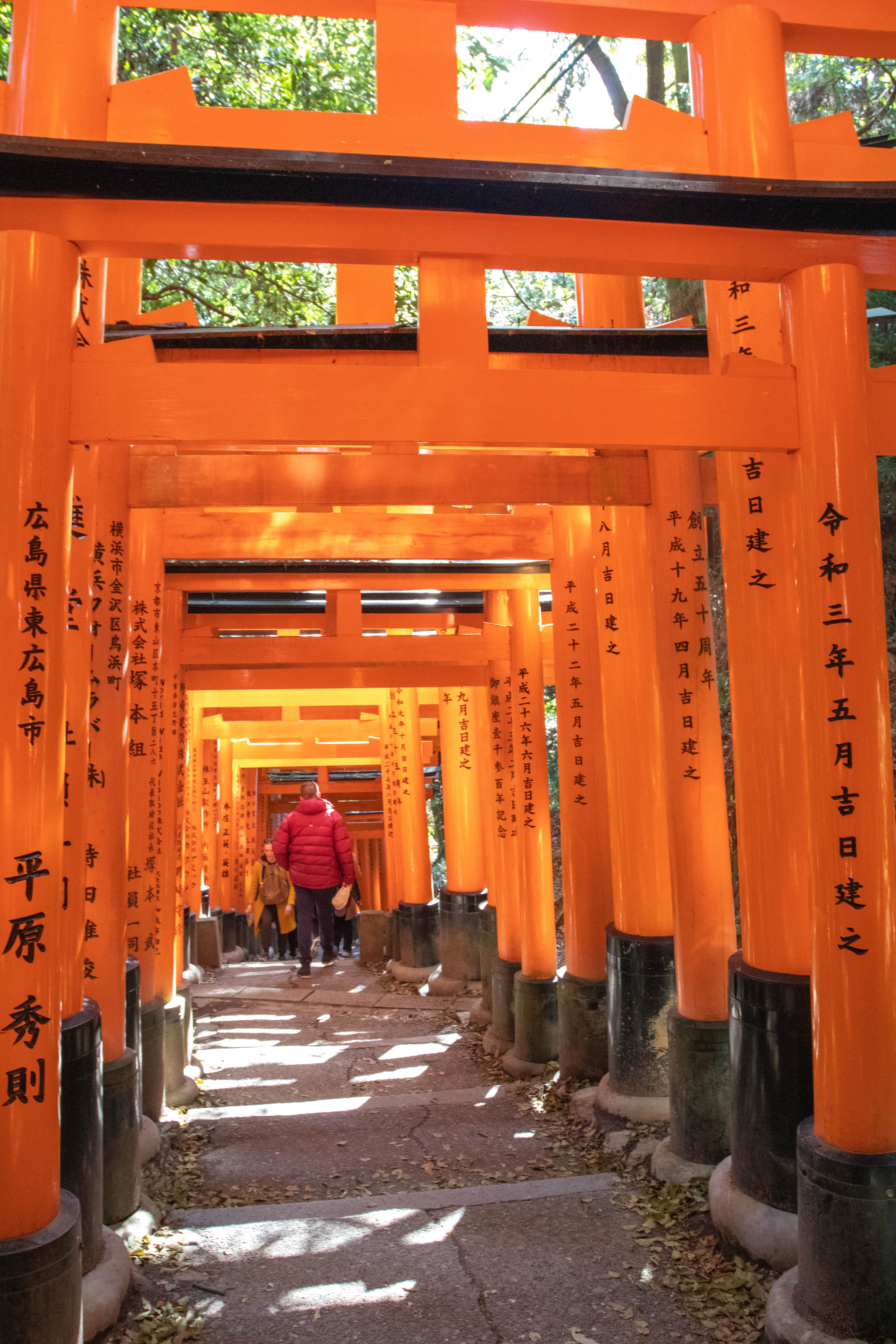 Fushimi Inari